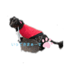 チムチムちゃん（個別スタンプ：7）