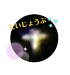 私の撮影したハッピーミラクル（個別スタンプ：6）