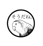 コザクラインコのモノクロさん（個別スタンプ：17）