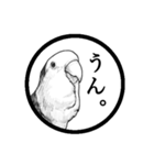 コザクラインコのモノクロさん（個別スタンプ：20）