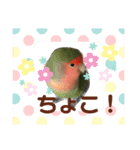 ちゃみりん（個別スタンプ：6）
