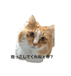 ムッ太（個別スタンプ：1）