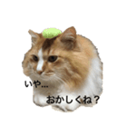 ムッ太（個別スタンプ：2）