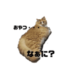 ムッ太（個別スタンプ：5）