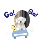 私の幸せのもと（個別スタンプ：6）