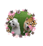 私の幸せのもと（個別スタンプ：28）