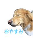 モフちゃんの日常（個別スタンプ：2）