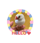 白文鳥のしろちゃんのコメント（個別スタンプ：21）