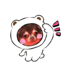 まっちゃん家の癒やし（個別スタンプ：3）