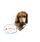 まっちゃん家の癒やし（個別スタンプ：5）