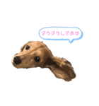まっちゃん家の癒やし（個別スタンプ：6）