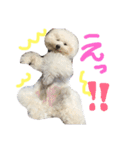 ほっしゃん君スタンプ（個別スタンプ：2）