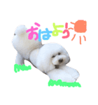 ほっしゃん君スタンプ（個別スタンプ：4）