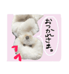ほっしゃん君スタンプ（個別スタンプ：6）