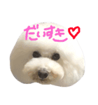 ほっしゃん君スタンプ（個別スタンプ：14）