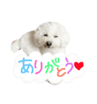 ほっしゃん君スタンプ（個別スタンプ：18）
