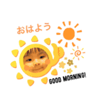 ⭐️HANA⭐️（個別スタンプ：2）