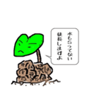 亀甲竜さん（個別スタンプ：5）