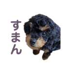 かわいいわんころちゃん（個別スタンプ：8）