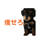 かわいいわんころちゃん（個別スタンプ：10）