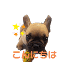 フレブル・スタンプ ODN（個別スタンプ：3）