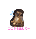 フレブル・スタンプ ODN（個別スタンプ：10）