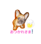 フレブル・スタンプ ODN（個別スタンプ：11）