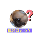 フレブル・スタンプ ODN（個別スタンプ：14）