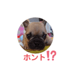 フレブル・スタンプ ODN（個別スタンプ：19）