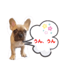 フレブル・スタンプ ODN（個別スタンプ：25）