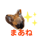フレブル・スタンプ ODN（個別スタンプ：30）