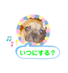 フレブル・スタンプ ODN（個別スタンプ：33）