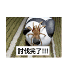 蜘蛛さんのスタンプ（個別スタンプ：5）