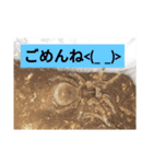 蜘蛛さんのスタンプ（個別スタンプ：8）