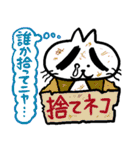 猫の八ちゃん(自由編)（個別スタンプ：24）