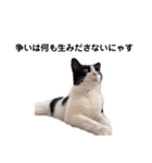 そっけない犬と猫たちスタンプ（個別スタンプ：1）