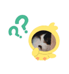 ねこたんさんすたんぷ（個別スタンプ：8）