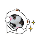 ねこたんさんすたんぷ（個別スタンプ：9）
