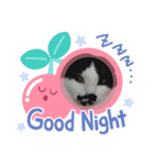 ねこたんさんすたんぷ（個別スタンプ：10）