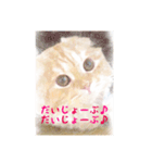 猫の日常的あいさつ！（個別スタンプ：13）