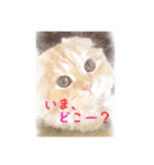 猫の日常的あいさつ！（個別スタンプ：15）