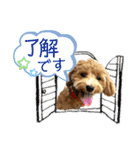 ベルです♪（個別スタンプ：8）