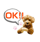 ベルです♪（個別スタンプ：10）