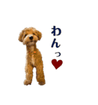 ベルです♪（個別スタンプ：14）