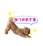 ベルです♪（個別スタンプ：19）