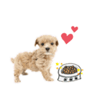 ベルです♪（個別スタンプ：23）