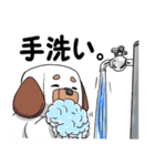 使いやすい四角い白い犬のスタンプ（個別スタンプ：40）