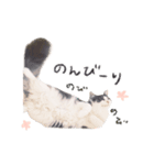 せんせいの日常（個別スタンプ：3）