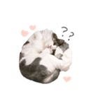 せんせいの日常（個別スタンプ：5）