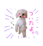 赤ちゃんプードルのラテちゃん2（個別スタンプ：3）
